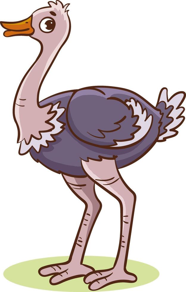 Vector illustration of an Ostrich Bird standing on its feet