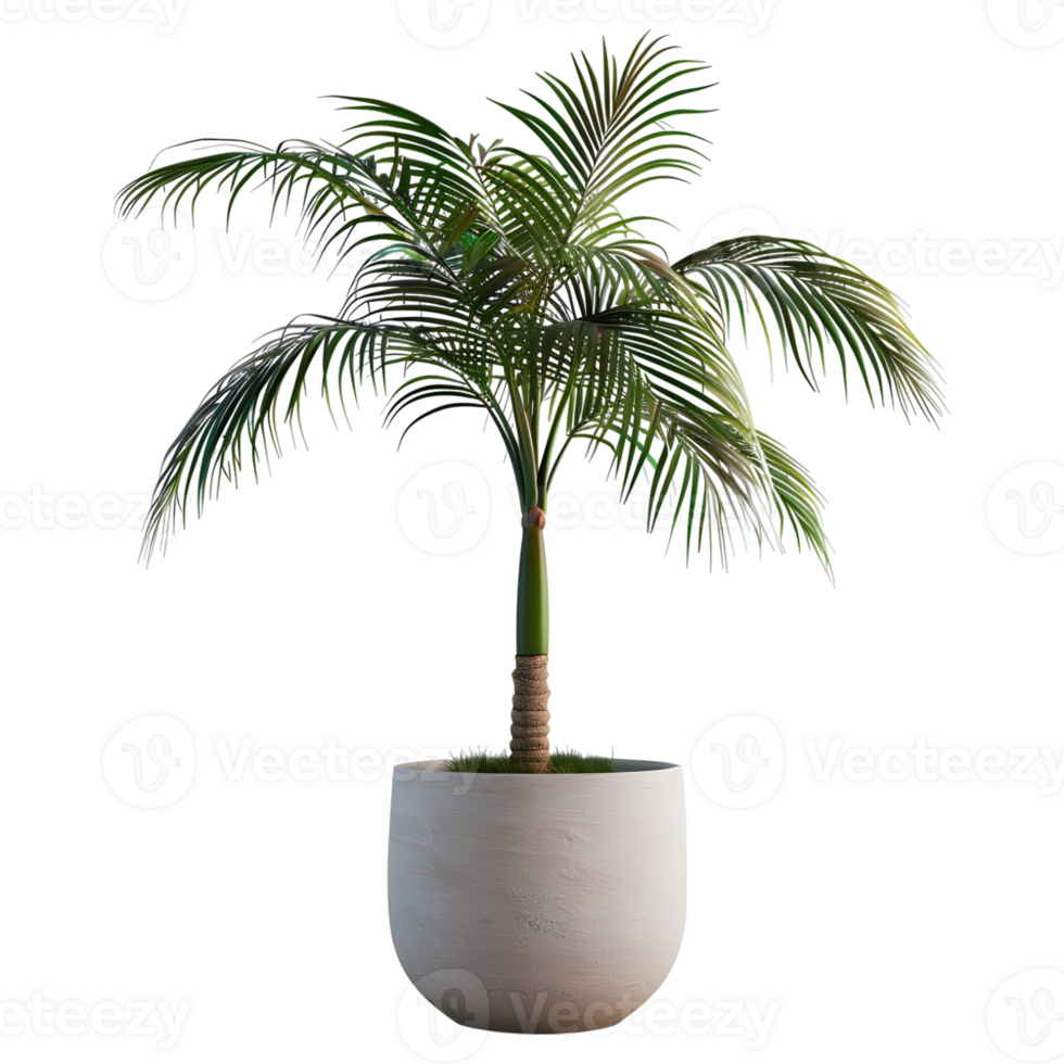 AI generated 3D Rendering of a Green Palm Tree in a Pot on Transparent Background - Ai Generated png