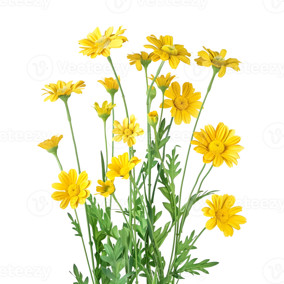 AI generated 3D Rendering of a Mountain Arnica Flower on Transparent Background - Ai Generated png