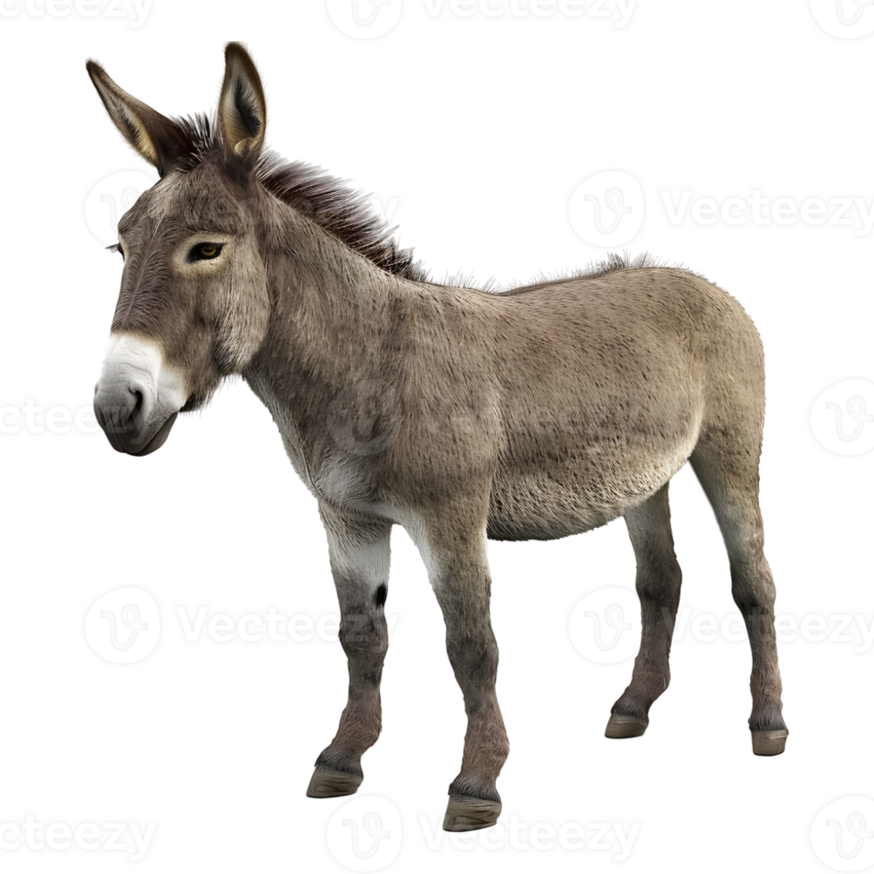 AI generated 3D Rendering of a Donkey Standing on Transparent Background - Ai Generated png