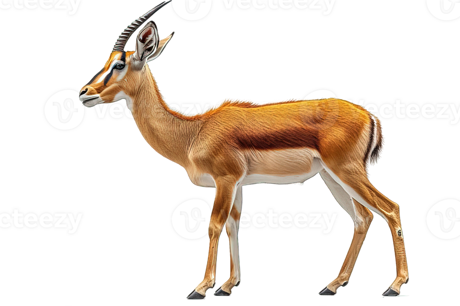 AI generated antelope animal isolated on transparent background ,generative ai png