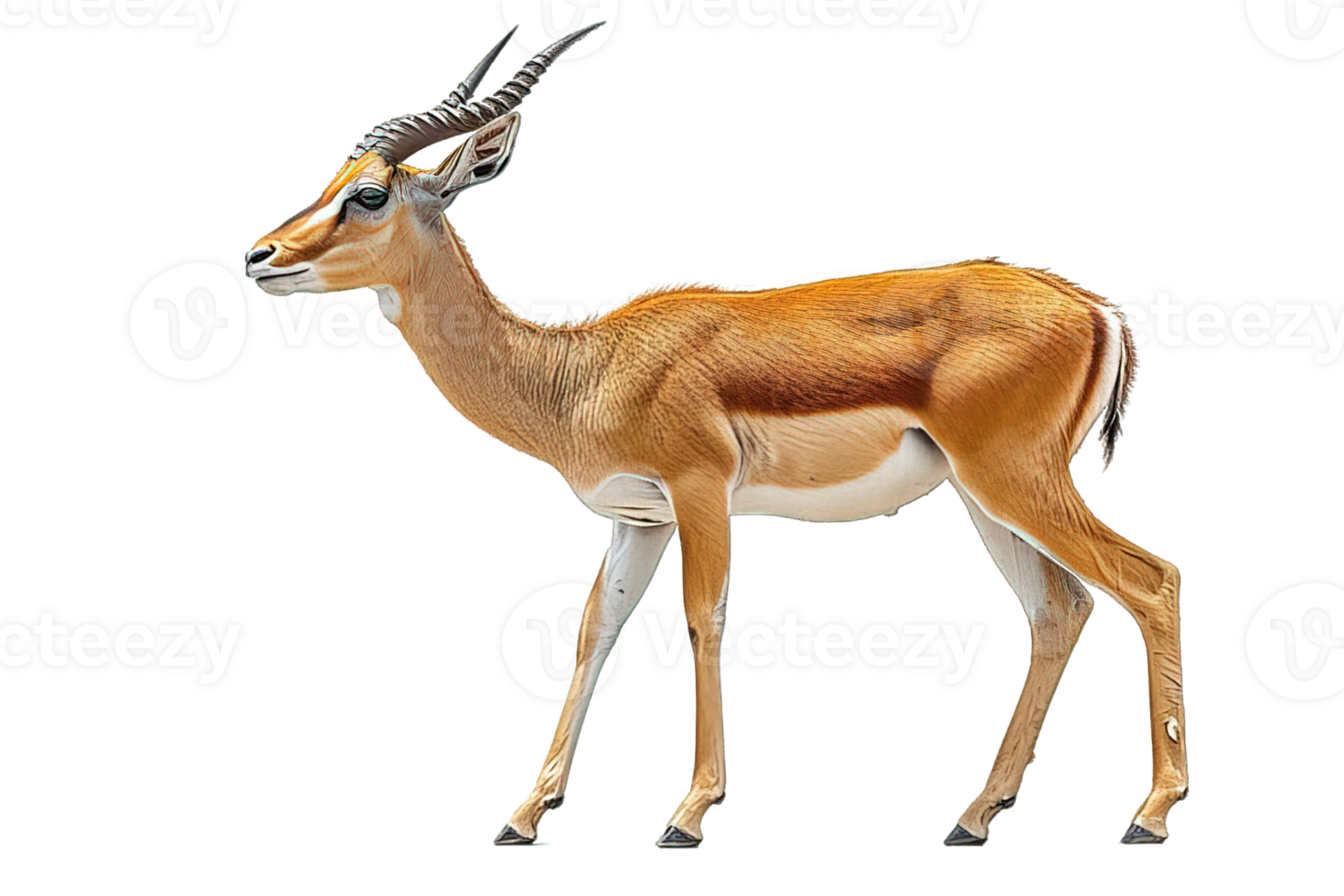 ai généré antilope animal isolé sur transparent Contexte ,génératif ai png
