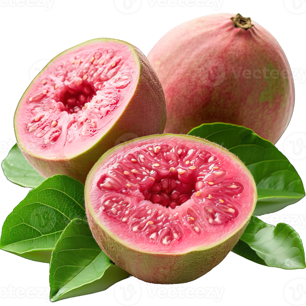 Guava isolated on transparent background ,guava fruit png ,generative ai