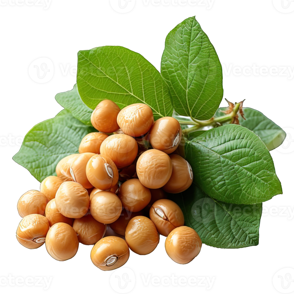 AI generated soybeans isolated on transparent background ,generative ai png