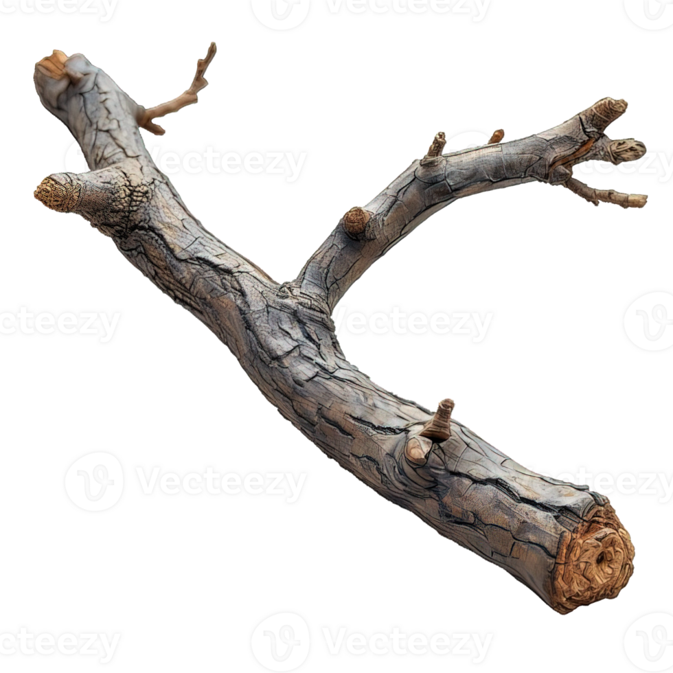 AI generated wooden branch isolated on transparent background ,dry wooden stalk ,generative ai png