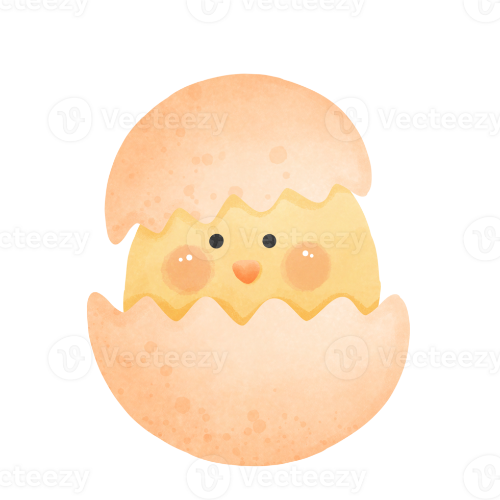 Cute little chick in cracked egg in watercolor png