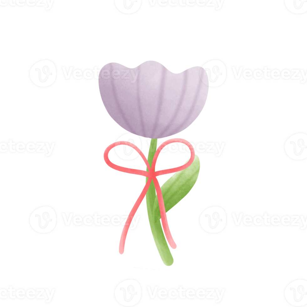 Violet tulip with bow png
