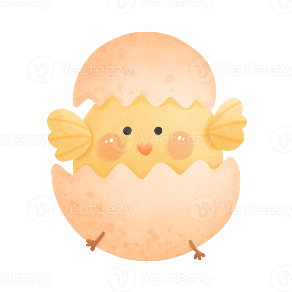 Cute little chicken in cracked egg png