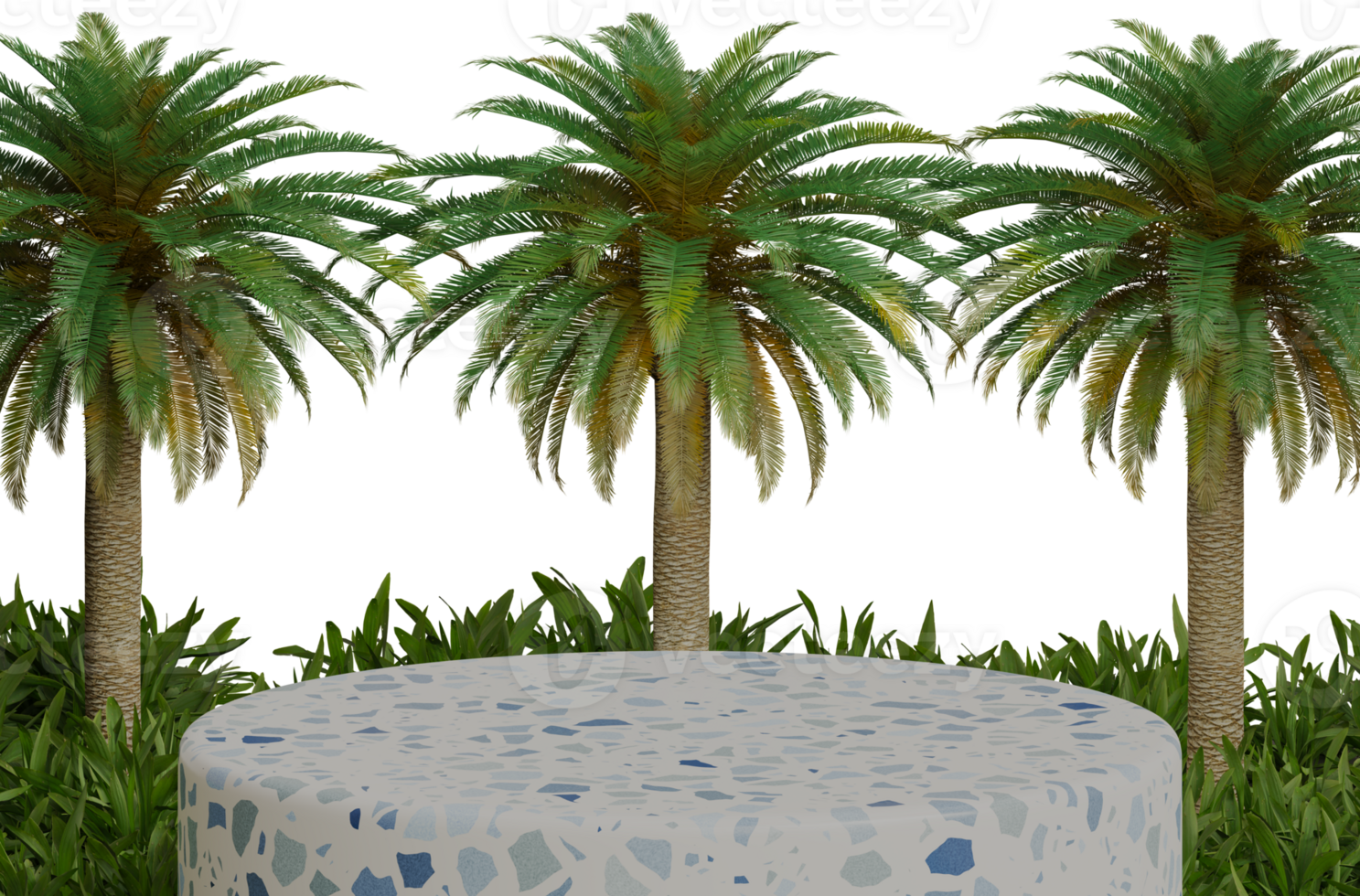 Circle marble podium with palm leaves png