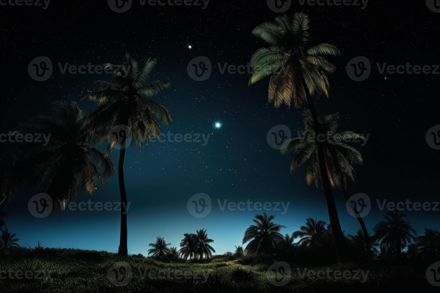 AI generated Tropical Palm tree night dark. Generate Ai photo