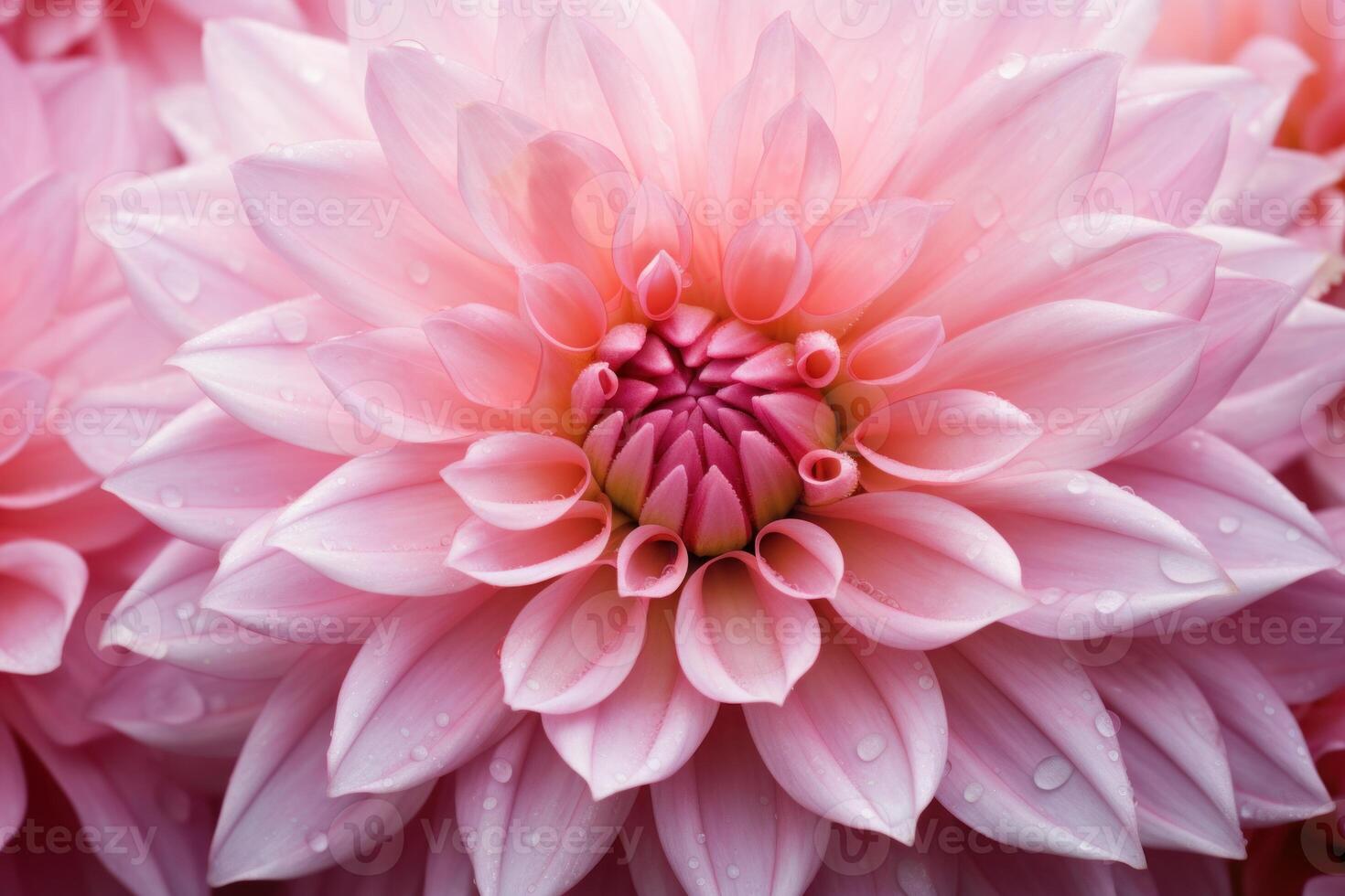 AI generated Vibrant Pink flower closeup. Generate Ai photo