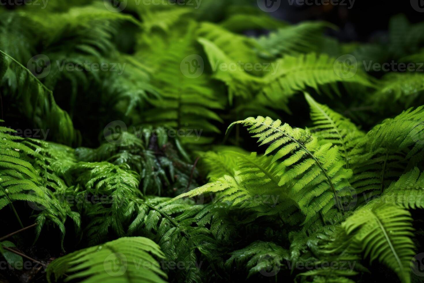 AI generated Moist Plant growing soil closeup. Generate Ai photo