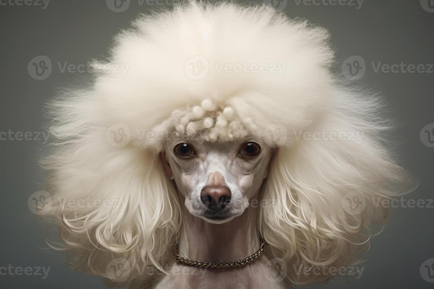 ai generado elegante caniche perro blanco cabello. generar ai foto