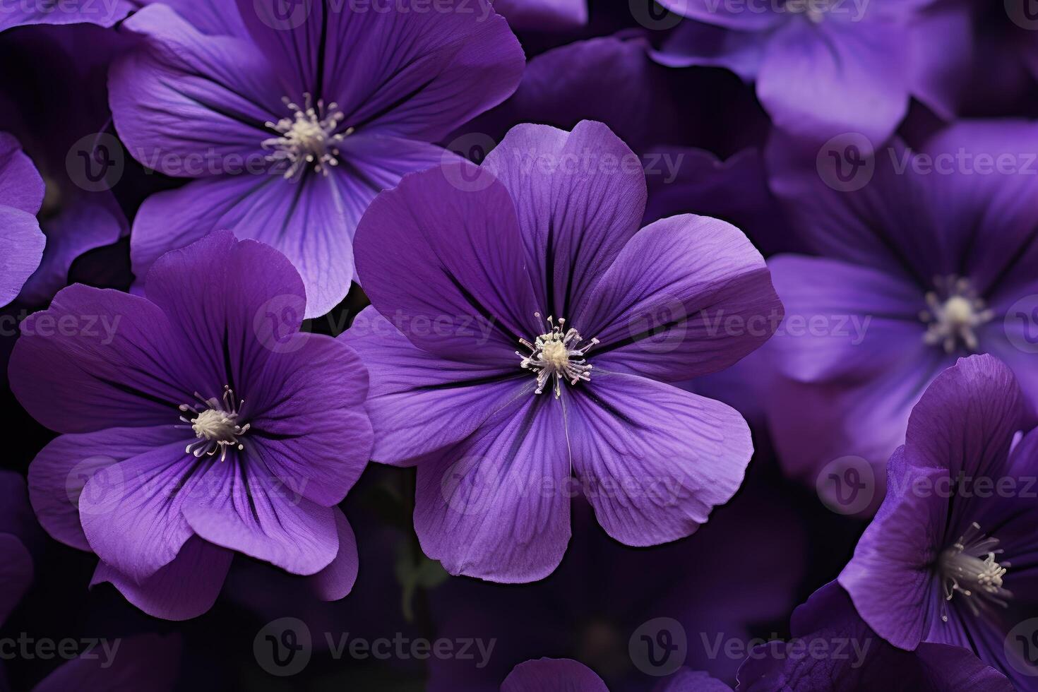 AI generated Delicate Purple flowers closeup. Generate Ai photo