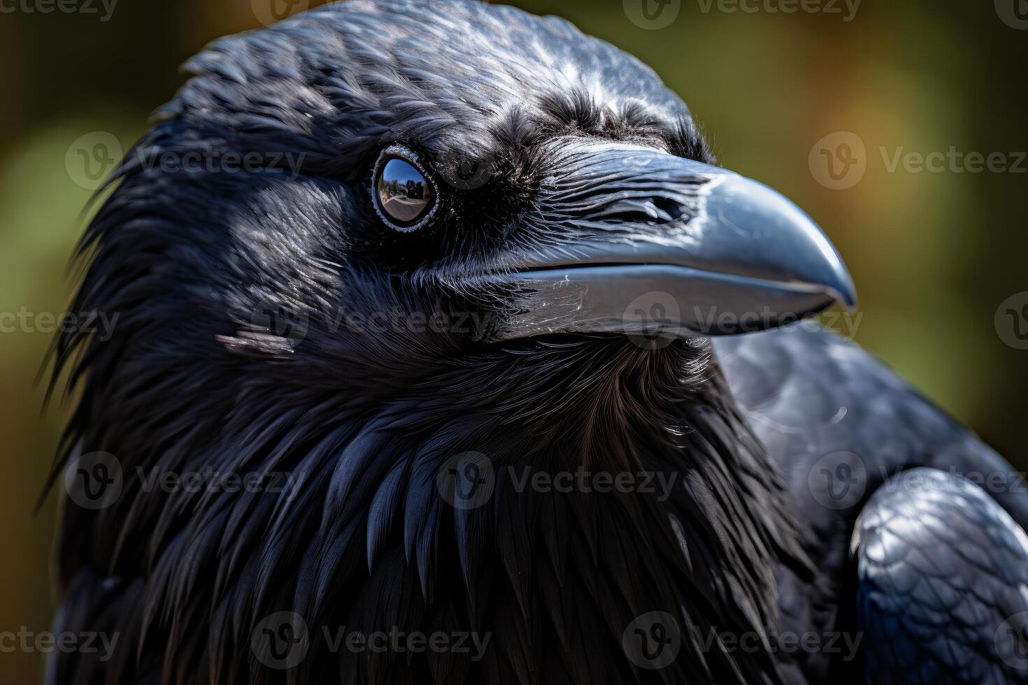 AI generated Mysterious Raven closeup corvus. Generate Ai photo