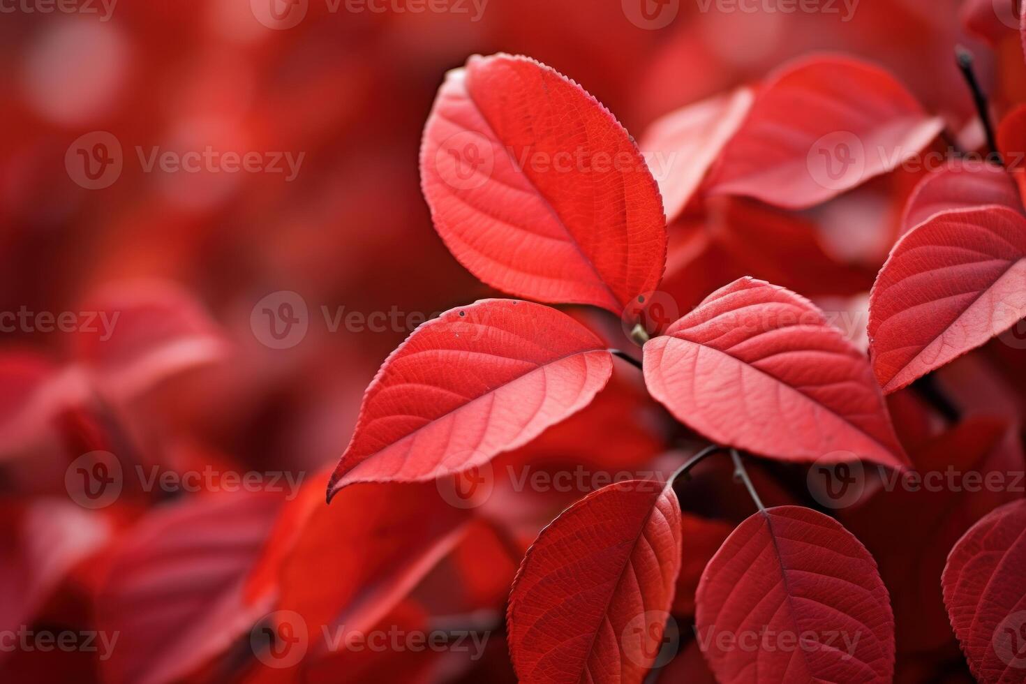 ai generado misterioso rojo hojas noche. generar ai foto
