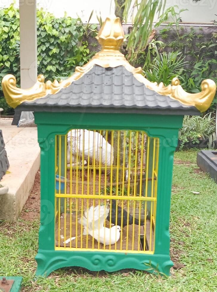 a bird cage in the yard photo