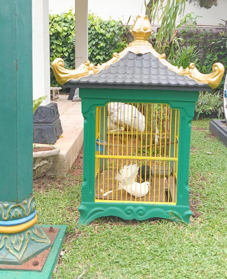 a bird cage in the yard photo