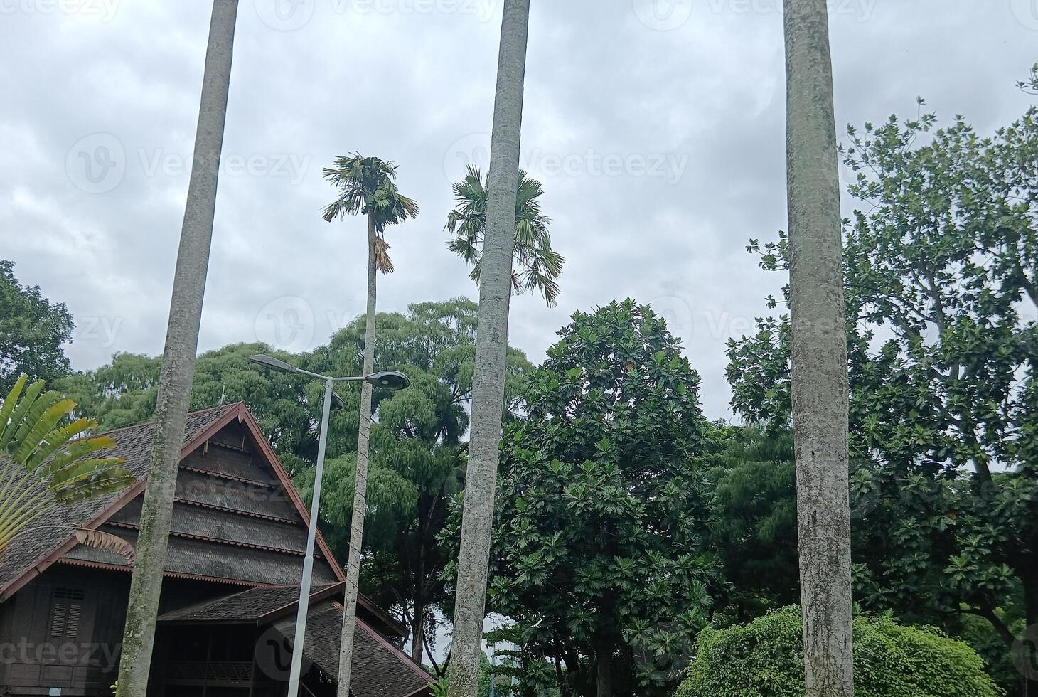 Capturing the Timeless Charm of Indonesian Traditional Architecture photo