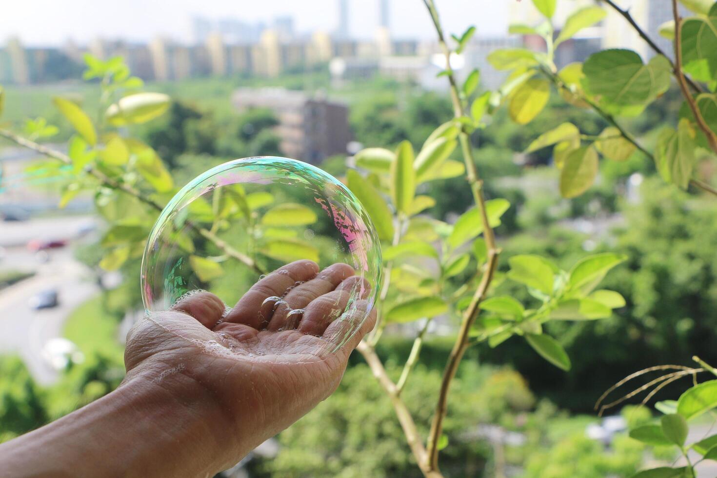 Soapsuds on palm. Bubble in hand. photo