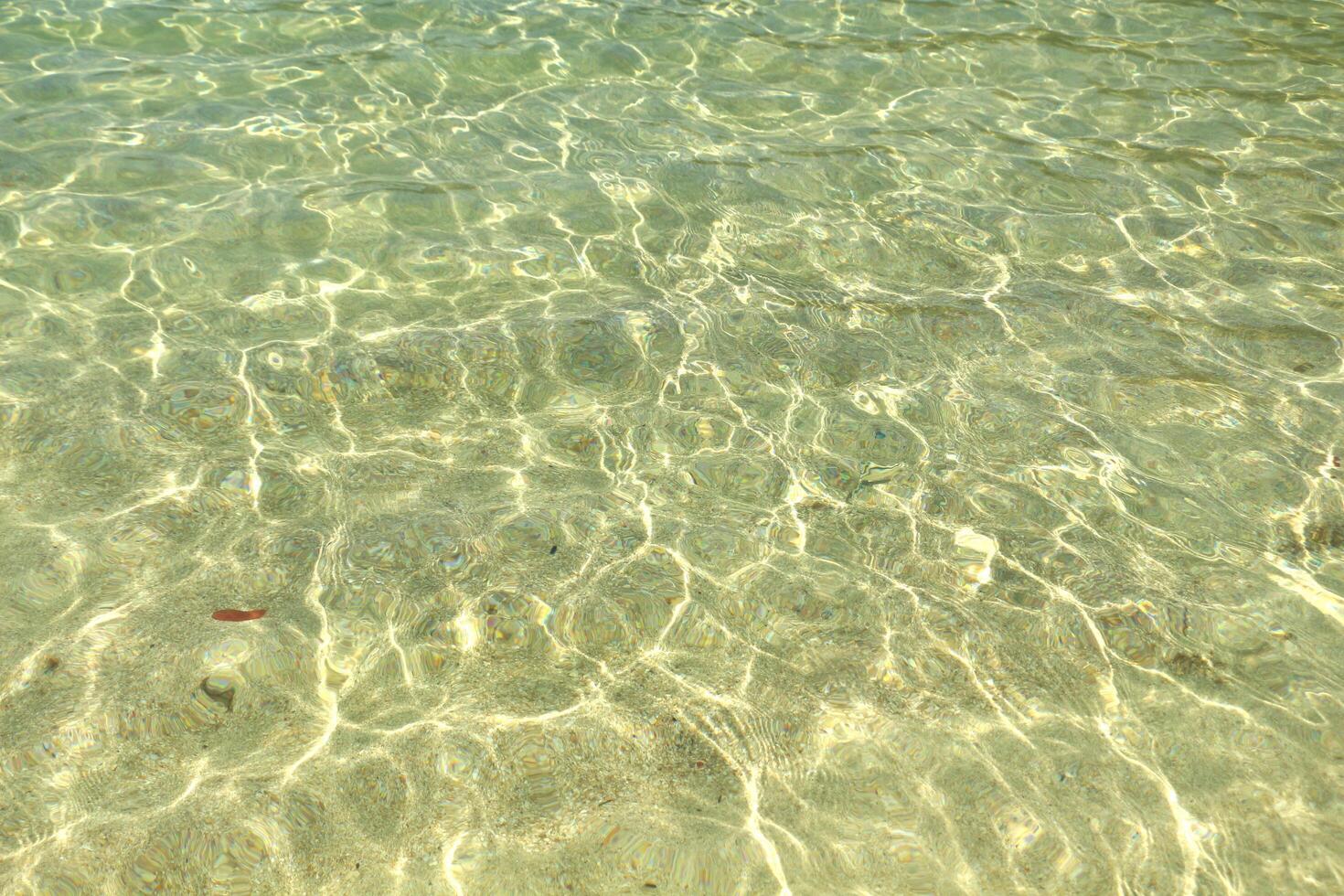 The surface of the water has waves and sparkles from the sunlight that shines into the sea. photo