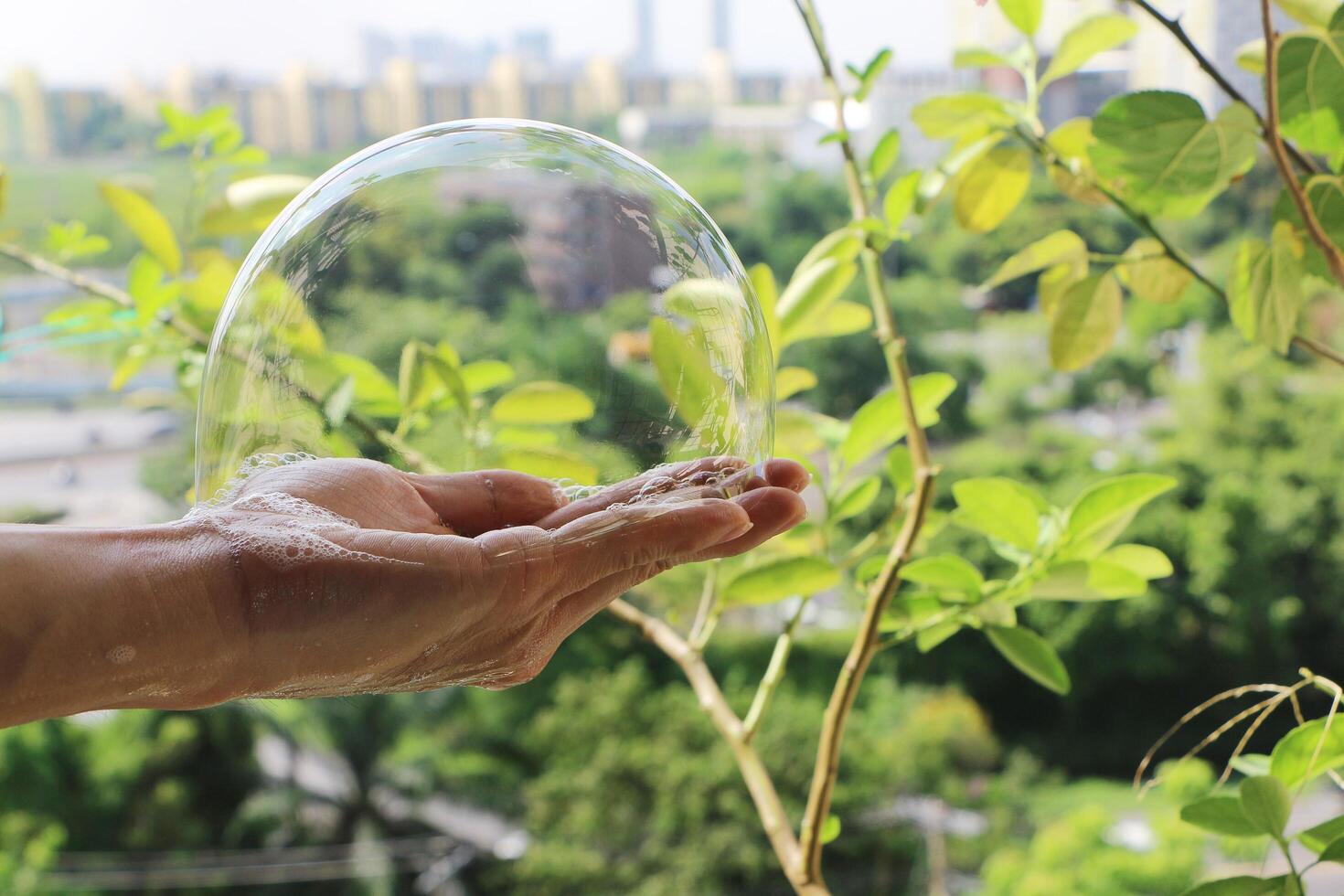 Soapsuds on palm. Bubble in hand. photo