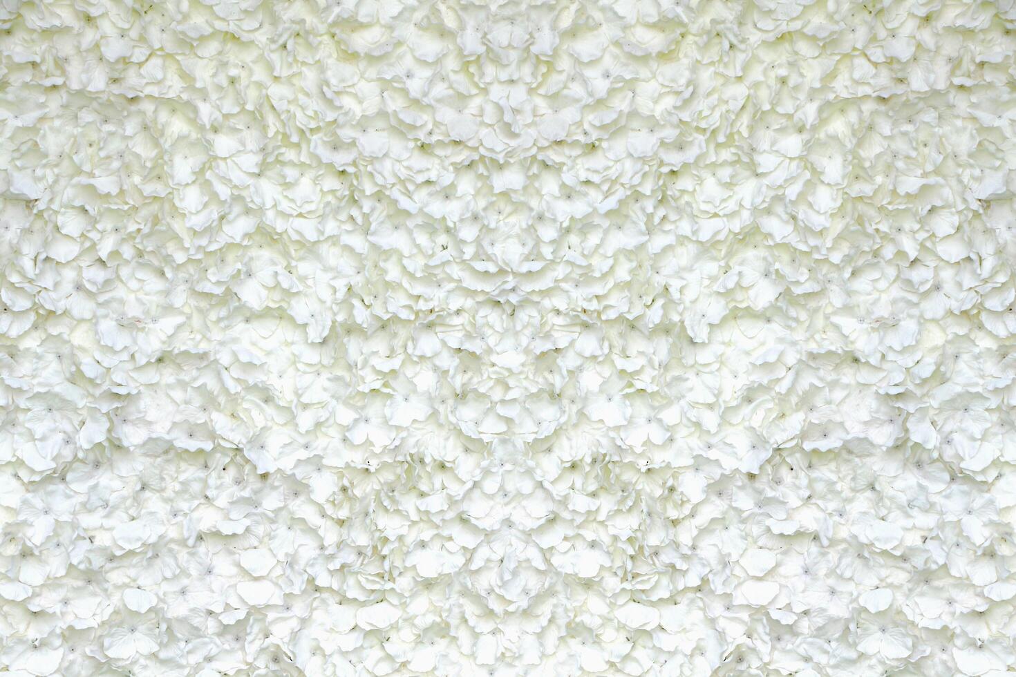 Abstract fabric white rose background. photo