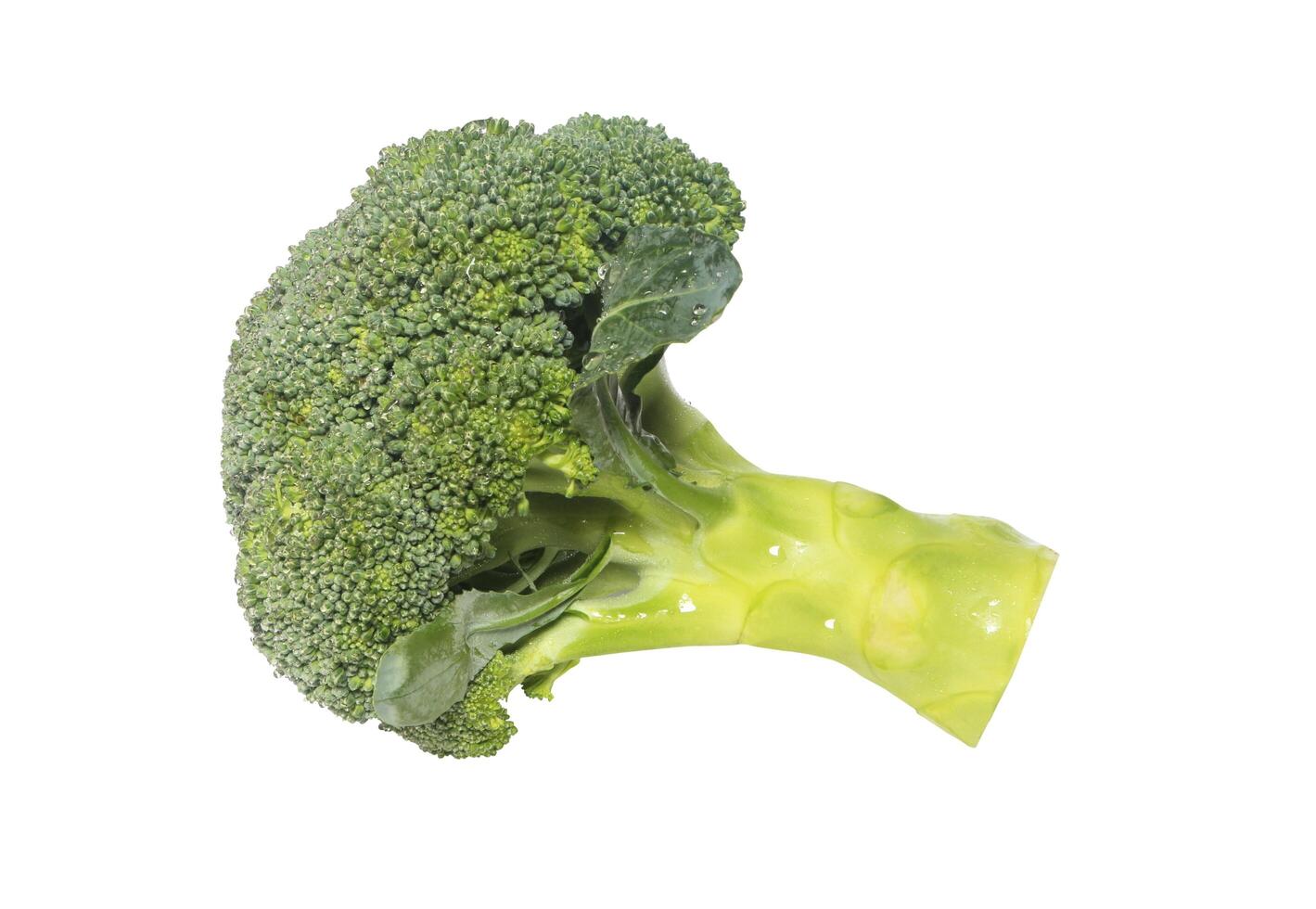 Broccoli isolated on white background with clipping path. photo
