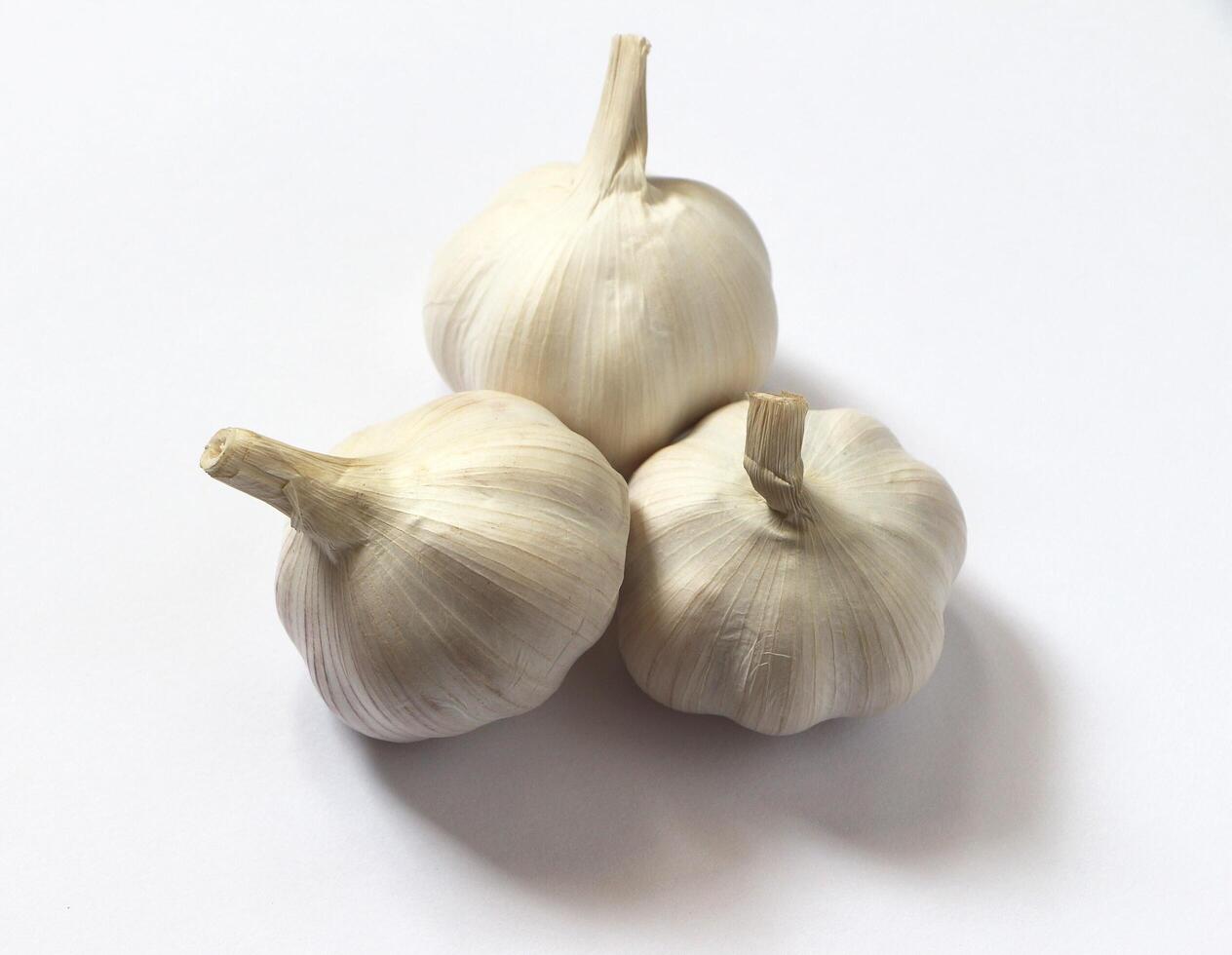 Garlic with soft shadow on white background photo