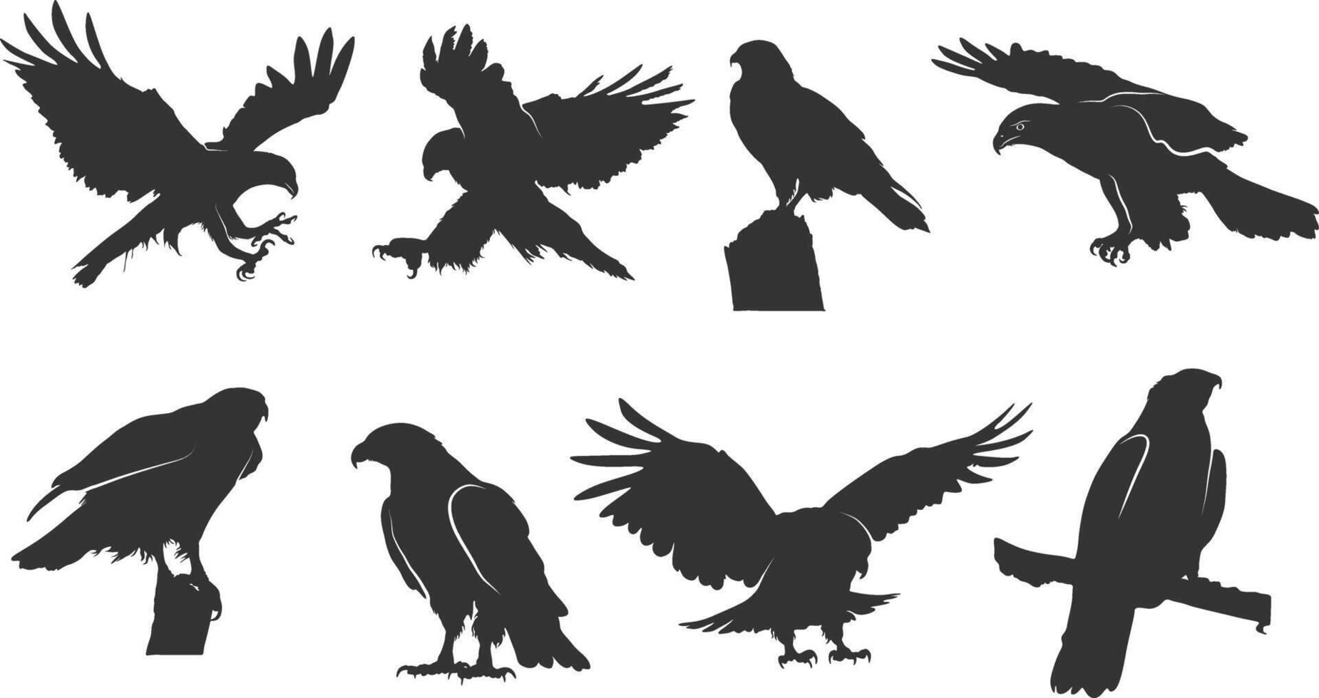 Hawk silhouettes, Flying hawk silhouette, Tribal hawk silhouette, Hawk vector illustration