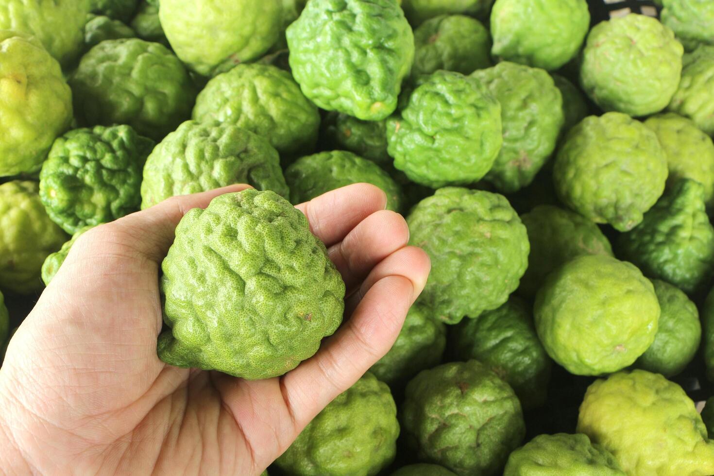 Man's hand hold bergamot on market. photo