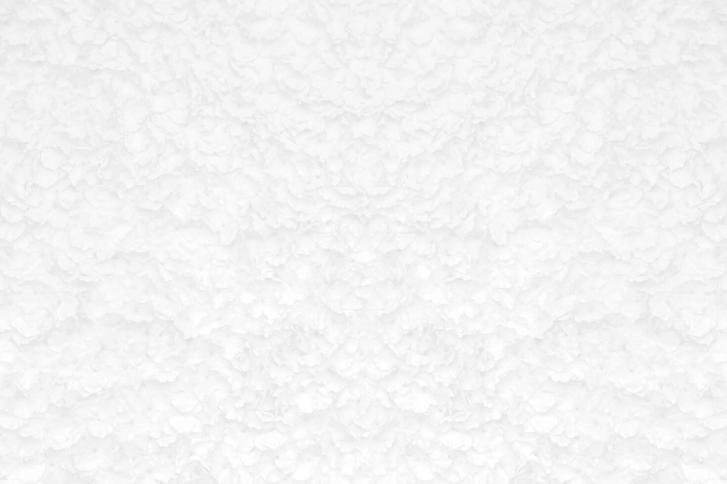 Defocused of abstract fabric white rose background. photo