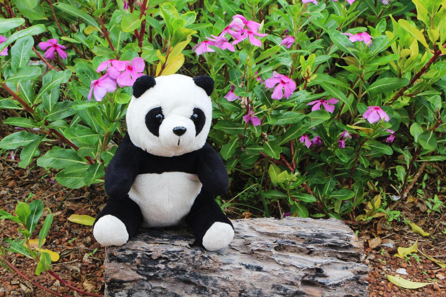 Black and white panda doll sitting alone on a log in the flower garden. photo