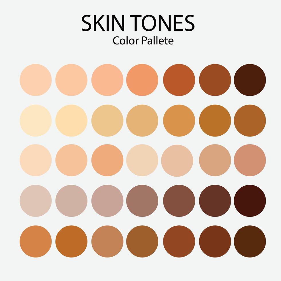 Collection Color palette, Skin tones. Flat vector illustration. skin color infographics. skin tone,.