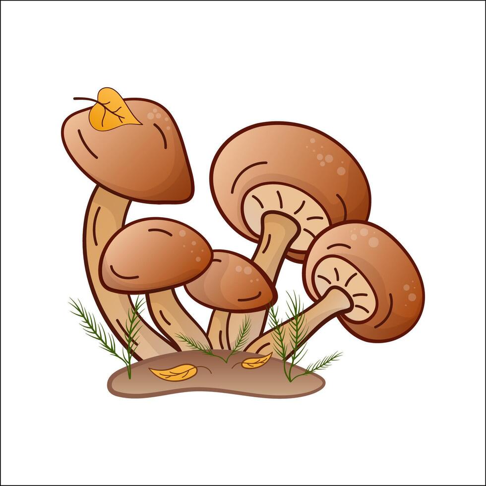 honey mushrooms vector color illustration isolated. Hand drawn armillaria melea in cartoon style. Design element for theme forest mushrooms, menu, forest, ingredients, recipes, organic products, etc.