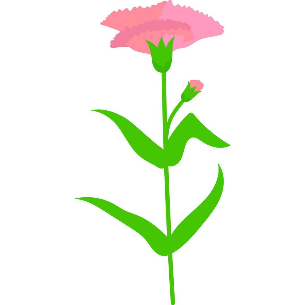 carnation decorative cute drawing element vector