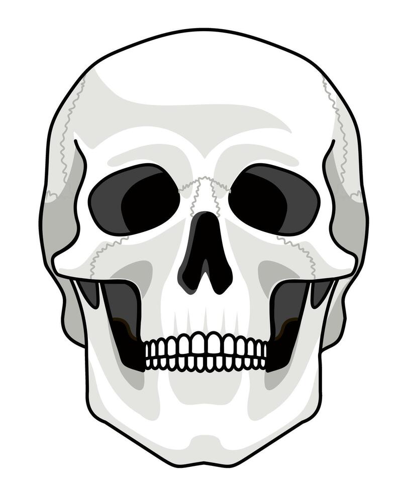 cráneo hueso rostro. frente vista. cráneo icono. negro y blanco dibujos animados sonriente linda humano esqueleto cabeza aislado en blanco fondo, vector ilustración. escalofriante esqueleto muerto cabeza bosquejo