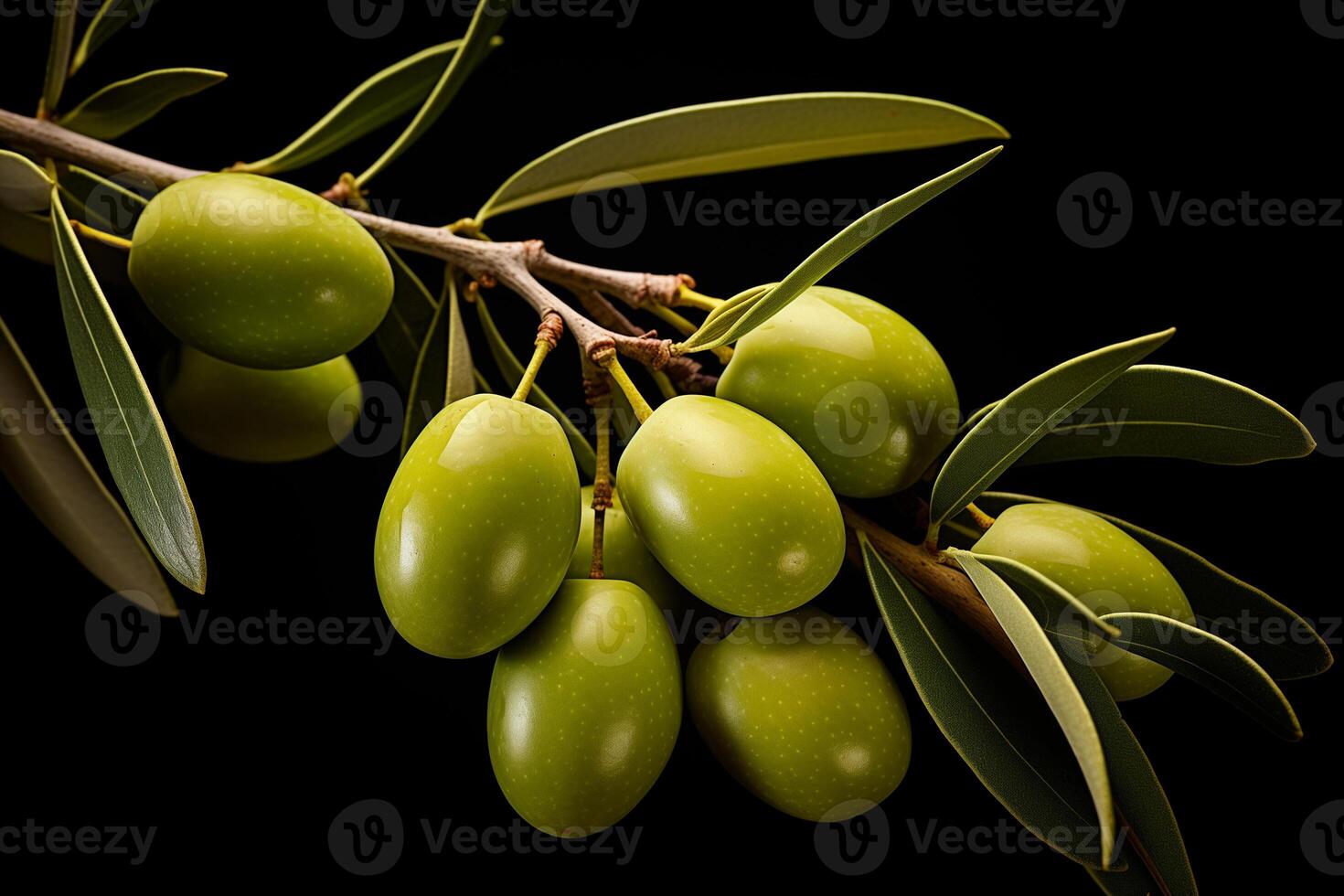 AI generated branch of green olives on a black background photo