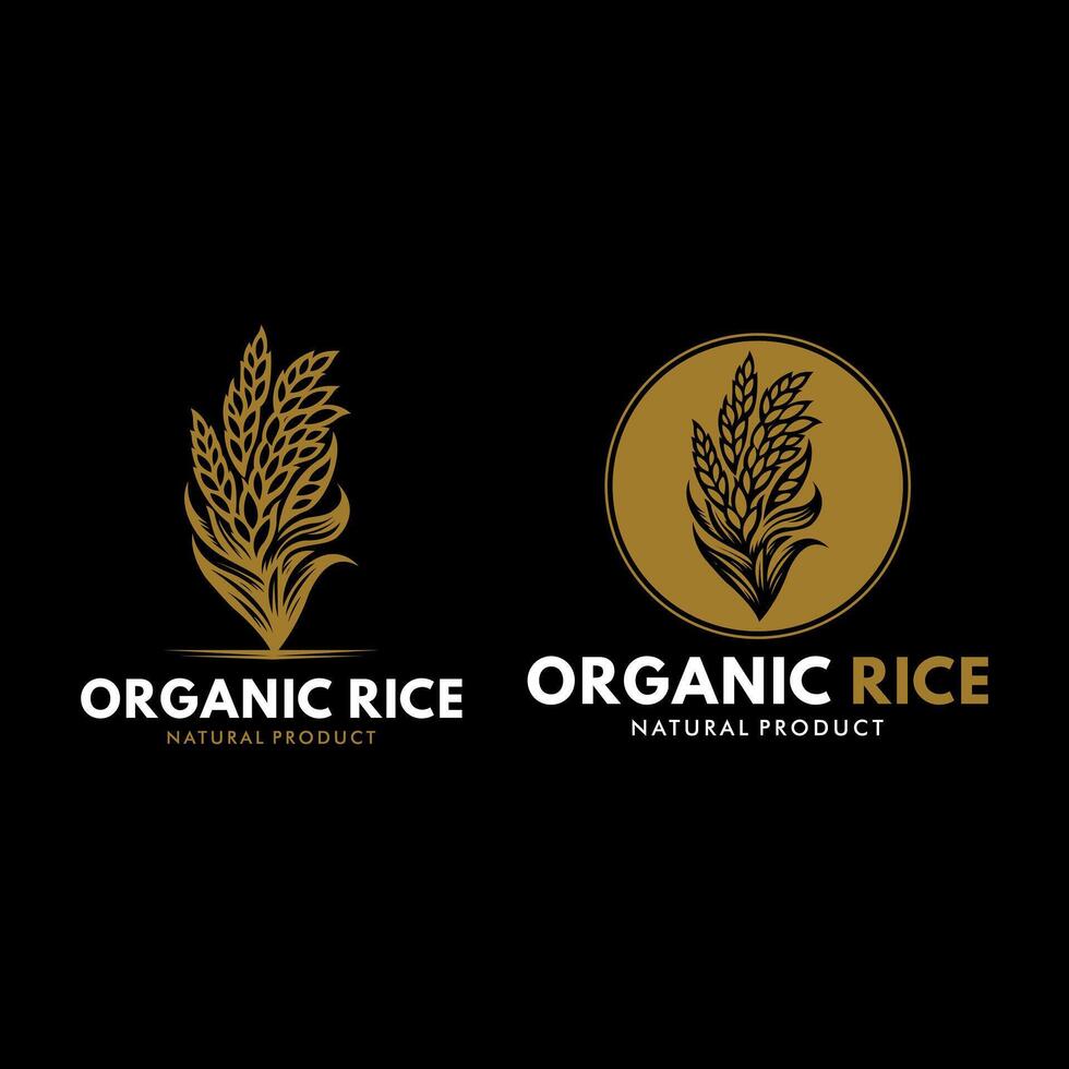 simple and vintage organic rice logo vector