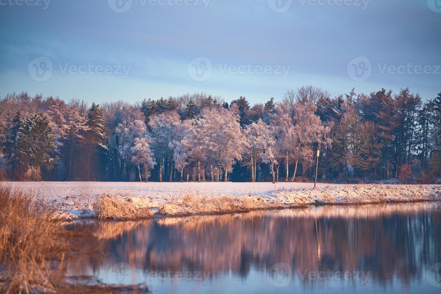 Snow and Ice on Field and River in Winter photo