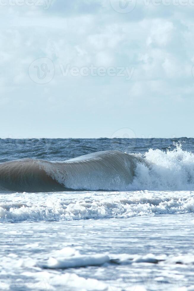 Breaking wave at coast of denmark photo