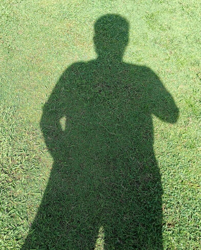 green grass field photo