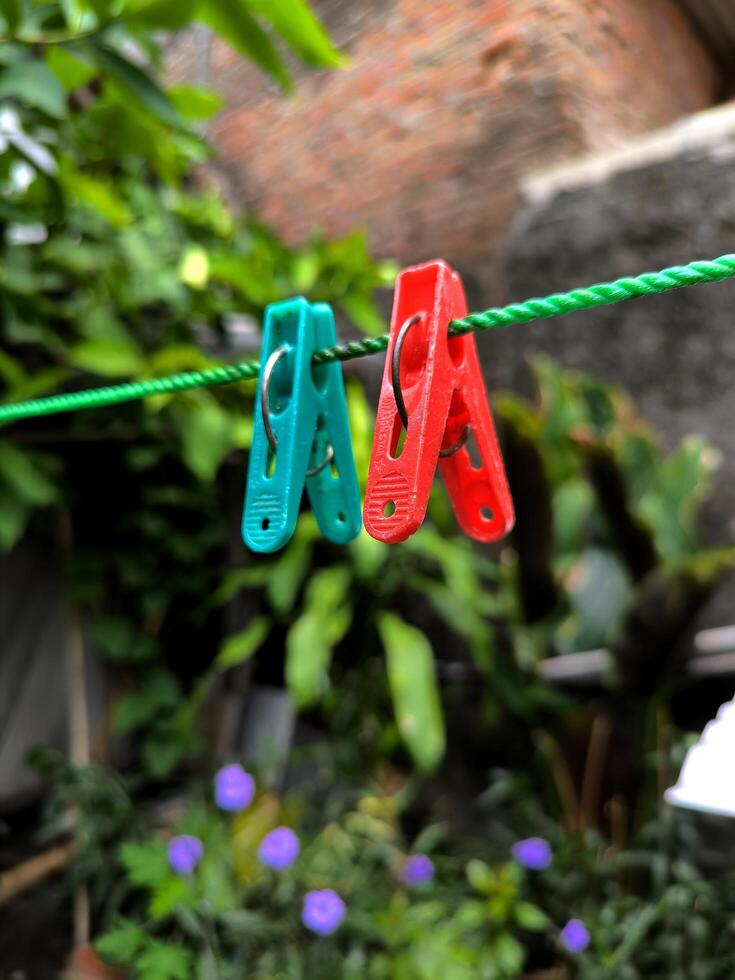 Clothespins in two colors red and green photo