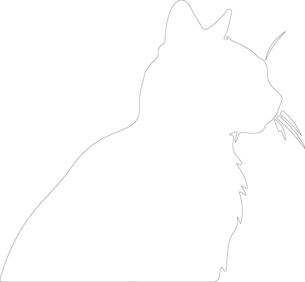 European Shorthair Cat  outline silhouette vector