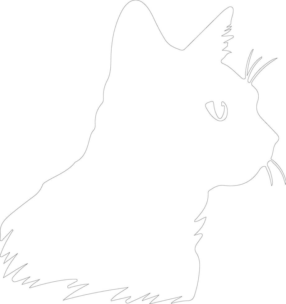 European Shorthair Cat  outline silhouette vector