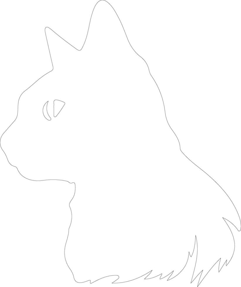 European Shorthair Cat  outline silhouette vector