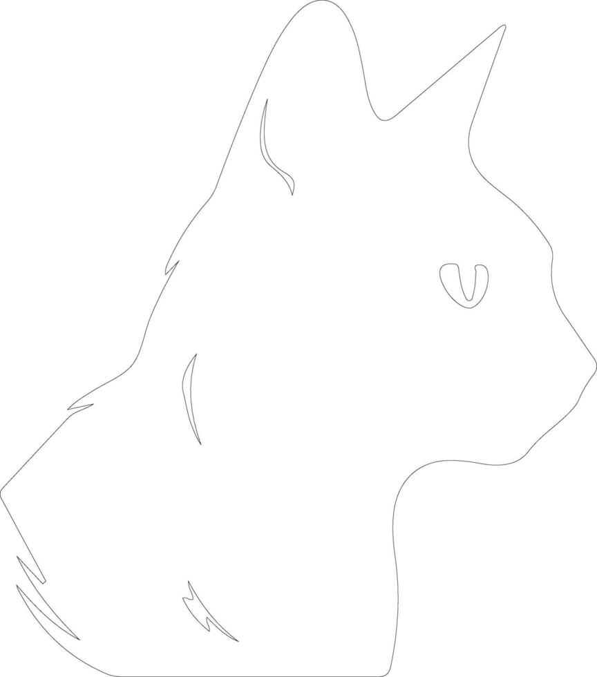 European Shorthair Cat  outline silhouette vector