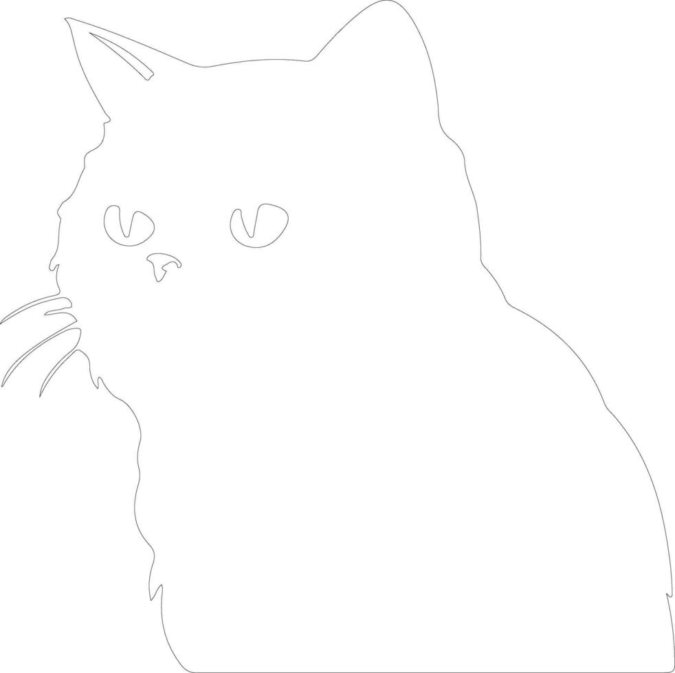 Exotic Shorthair Cat  outline silhouette vector