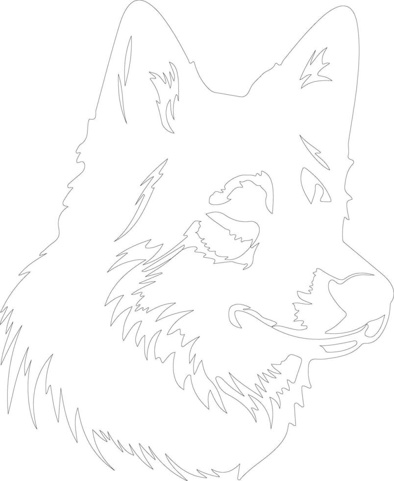 Finnish Spitz  outline silhouette vector