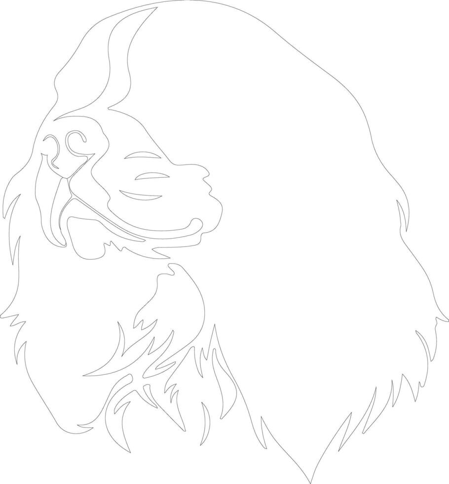 Cavalier King Charles Spaniel  outline silhouette vector